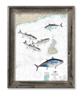 Block Island Sound with Bluefin Tuna, Stripers and Albie special