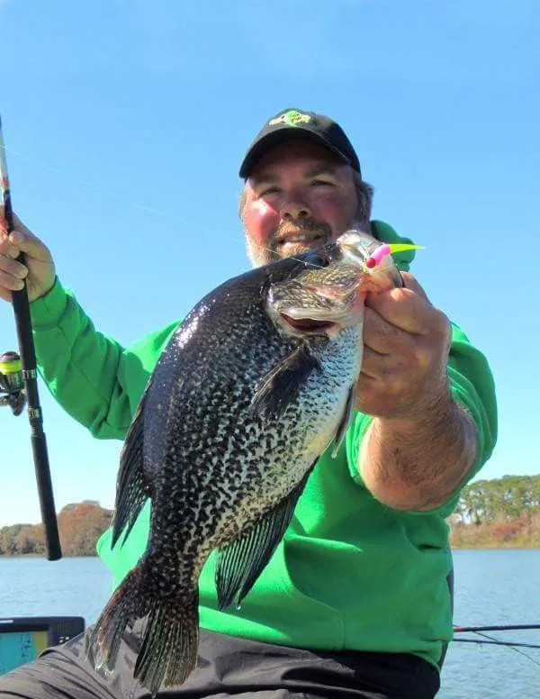 Muddy Water Baits 2.5 inch