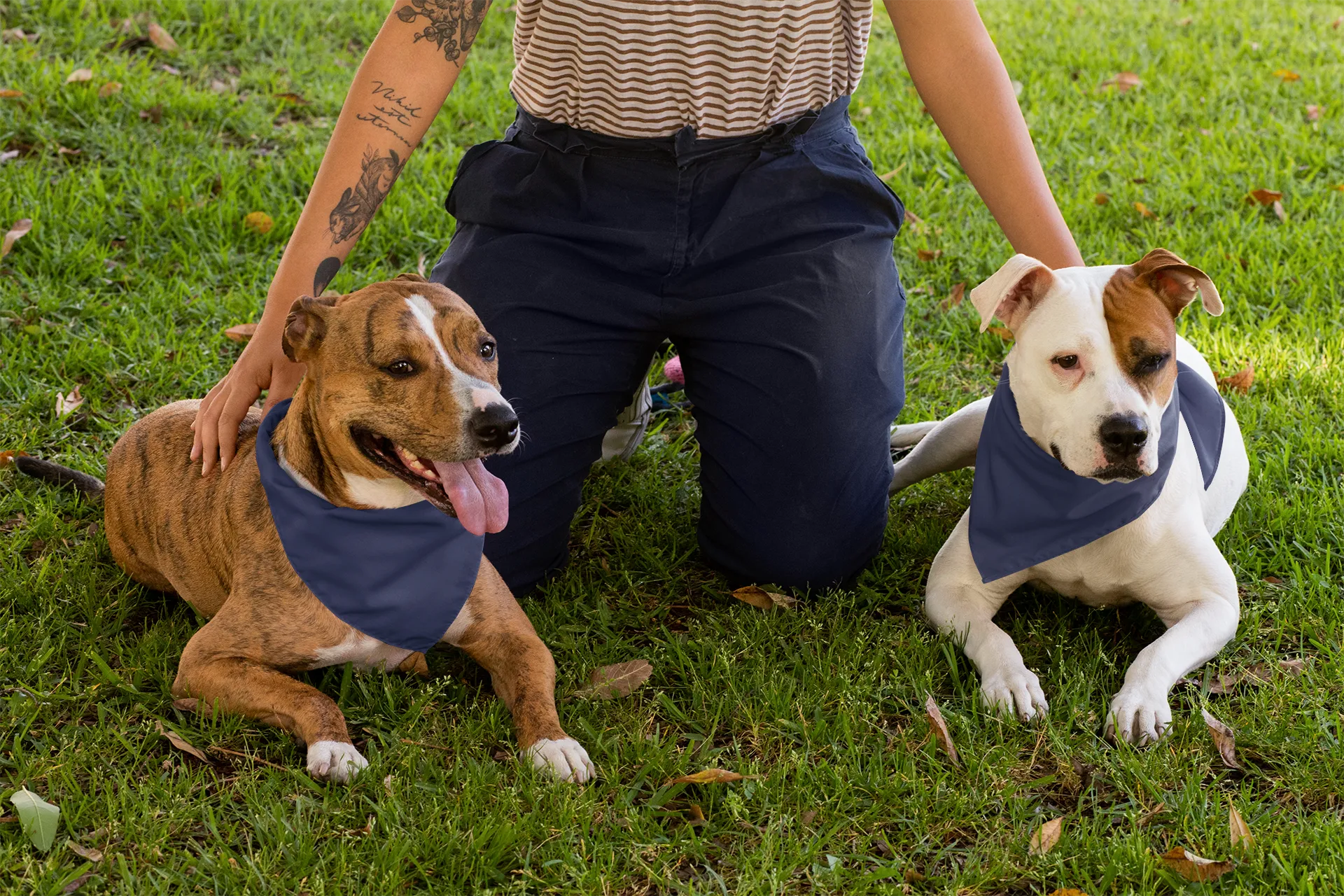Navy Blue Pet Bandana