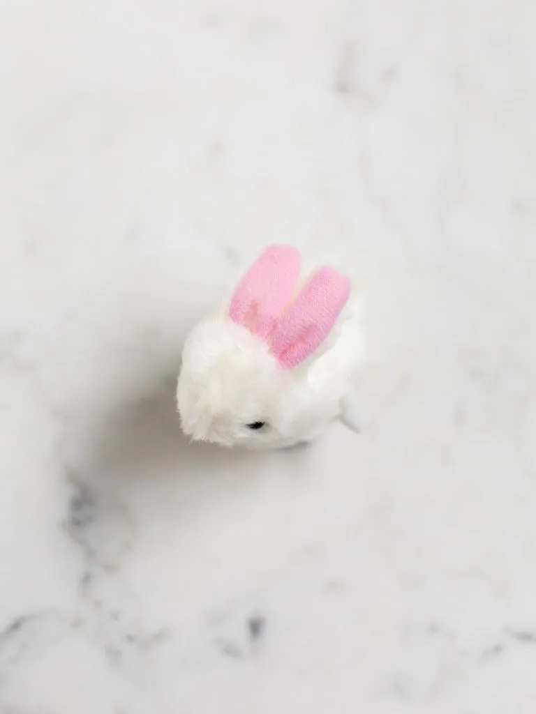 Springtime Wind-Up Toys