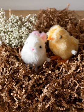 Springtime Wind-Up Toys
